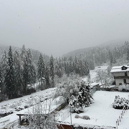 Dolomia Apartments & Spa Dimaro Luaran gambar